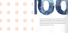 Examples of the Oculus WE pattern