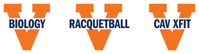 Examples of Split-V Logo for UVA Student Organizations