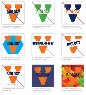Examples of the Incorrect Use of Split-V Avatars