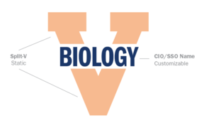 Example of a Custom Split-V Logo